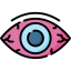 Vision Icon